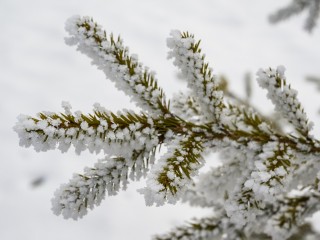 Когда закончится арктическое вторжение с морозами в Подмосковье, сказал синоптик