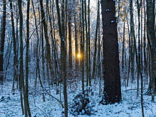 Мороз, солнце и паста карбонара: как туристы прошли по дороге в Лавру к Гремячему Ключу