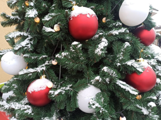 Синоптик Тишковец рассказал о погоде в Подмосковье в новогоднюю ночь