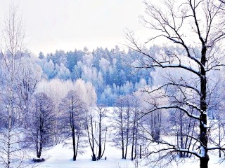 Синоптики назвали точную дату начала настоящей Русской Зимы в Подмосковье