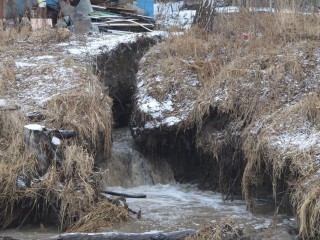 Экологический рейд в Одинцовском округе: кто сливает нечистоты в речку Саминку