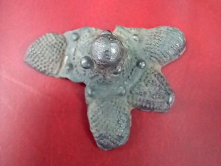 Уникальный артефакт из Буйгорода пополнит экспозицию волоколамского музея