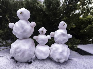 Сколько пролежит снег в Подмосковье и какой погоды ждать в середине декабря — ответила Позднякова