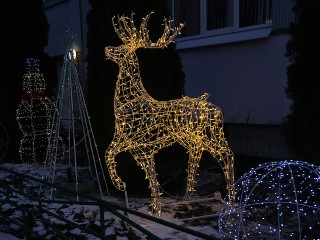 Охота на северного оленя попала в объектив камеры в Балашихе