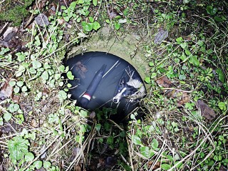 Собака оставила без интернета несколько поселков в Одинцове