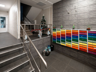 Секрет легальной елки: как жителям Котельников украсить подъезд и не потерять ₽15 тыс.