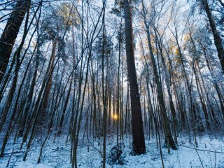 Прогноз геомагнитной активности 26 декабря: вероятность магнитной бури 7%