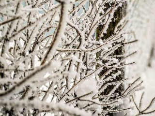 Мокрый снег, ветер и 0°C: в этот день Москву и Подмосковье накроет опасная погода