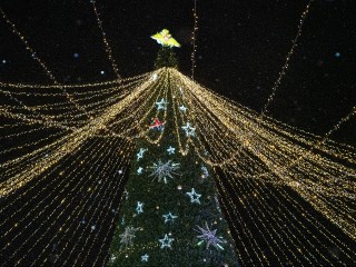 Морозная сказка: какая погода ждет Подмосковье в новогоднюю ночь 2026