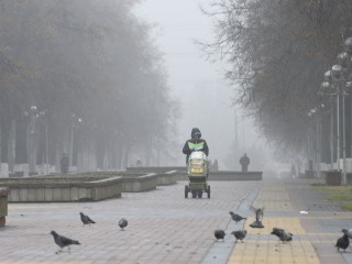 Туман с видимостью до 200 м задержится в Подмосковье до полудня