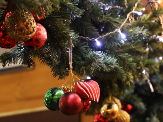 Когда ставить новогоднюю елку в декабре 2025: лучшие и худшие дни по лунному календарю