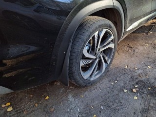 На дороге у «Радона» сбили кабана: как водителю избежать больших трат и 15 суток ареста