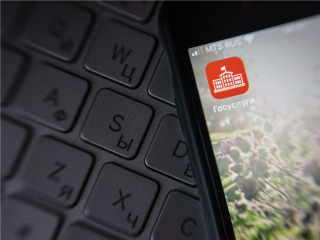 В Подмосковье «Добробот» вас избавит от забот: где его найти и как он помогает выбрать нужную услугу по земле и имуществу