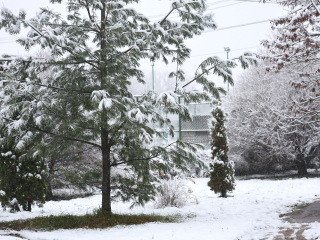 Синоптик Тишковец рассказал, когда Подмосковье накроет снегом и придут морозы