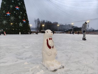 Световой шатер и бесплатный лед: в парке «Патриот» открылся главный каток Подмосковья