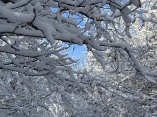 Москва и Подмосковье замерзнут: ночь с морозами до −15°C и ледяным ветром уже близко