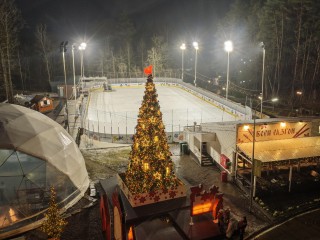 Кататься, танцевать и фотографироваться: Лазутинский парк запустил зимнюю программу