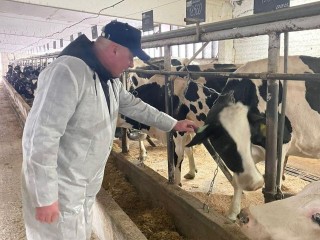 Профилактика вместо лечения: в Сергиевом Посаде проверили 1400 коров на туберкулез