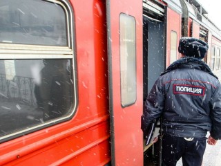 Каширские полицейские помогли задержать вандала-поджигателя на железной дороге