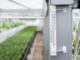 Свежие овощи круглый год: как сделать парник с отоплением на своем участке