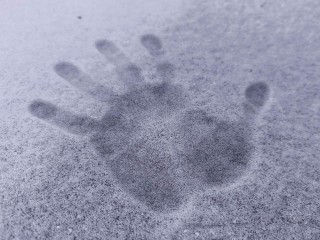 Сколько продлится аномальное декабрьское тепло в Подмосковье — ответил Вильфанд