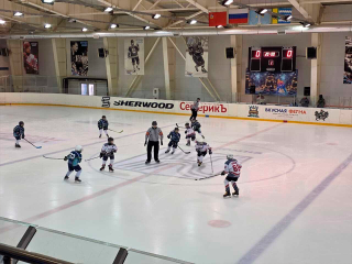 Юниоры и ветераны зарайского хоккея сыграют два домашних матча 20 и 21 декабря