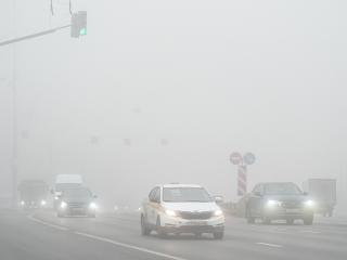 МЧС предупреждает: сильный туман в Подмосковье ухудшит видимость на дорогах до 200 метров