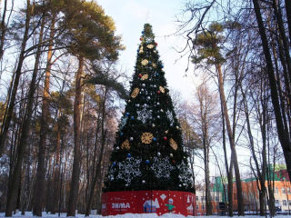 Воскресенье с пользой для новогоднего настроения: какие мероприятия посетить в Красногорске