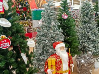 Где купить и сколько стоит главный символ Нового Года в Подмосковье