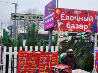 Шесть официальных площадок для покупки живых елок откроются в Реутове 15 декабря