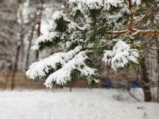 Снегопад обрушится на Подмосковье 12 декабря