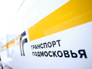 Успеть на автобус любой ценой: что вытворила девушка на остановку в Красноармейске