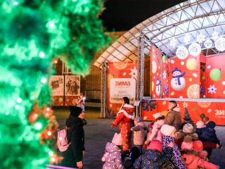 Дед Мороз и хороводы у елки: новогодняя сказка пришла в зарайский парк