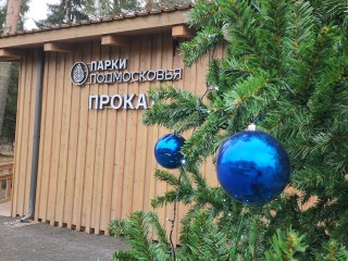 Красноармейск встретил зиму новогодними елками и праздничными инсталляциями