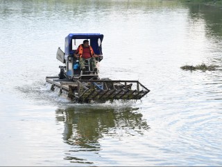 Какие водоемы Дмитрова выбрали для очистки в 2026 году