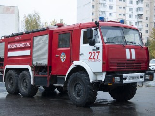 Из огня — в руки хозяйки: пожарные в деревне Нахабино ликвидировали возгорание и спасли кота