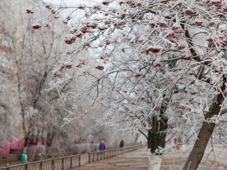 Снег в столице не задержится: как завершится декабрь в Московском регионе