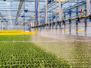 Колбасу делают роботы, за сыром следит ИИ: как Подмосковье переходит на умное производство