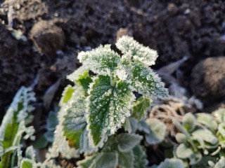 Ныряющий циклон уже над Белоруссией, что он принесет в Подмосковье