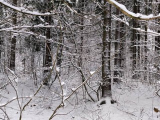 Что нельзя делать в Данилов день: народные приметы на 30 декабря