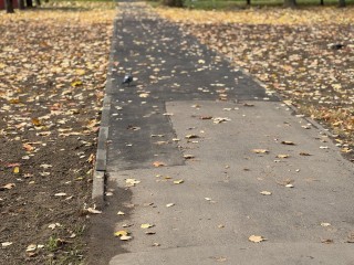 Пешеходную зону на 40 лет Октября, где произошел обвал коллектора, благоустроят до конца декабря