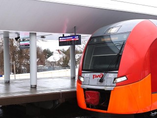 «Зеленый» рекорд Подмосковья: лесные грузы на МЖД показали впечатляющий рост