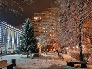 Какой погодой встретит Новый год Подмосковье и будет ли снег, рассказали синоптики