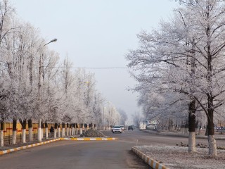 Зима без сценария: как выжить между оттепелью и морозом в Московском регионе