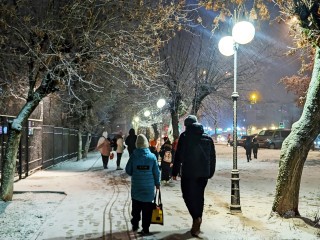 В Новогоднюю ночь Подмосковье завалит снегом при температуре −7 °C