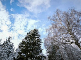 Черноголовская библиотека ищет лучшие зимние снимки