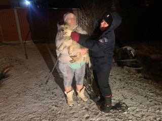 Спасение без лая: как пес покорно ждал, пока его освободят из «металлического плена»