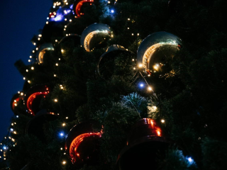 Астролог из Чехова назвал дни, когда лучше наряжать новогоднюю елку