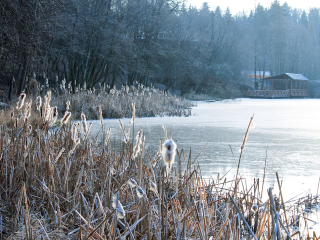 Жесткие морозы и проливные дожди? Как изменится погода в Подмосковье с 7 декабря