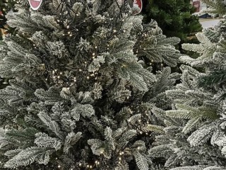 В декабре стартует Всероссийский конкурс «Елки России»